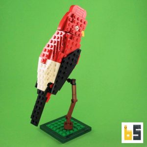 Andenklippenvogel – Bausatz aus LEGO®-Steinen