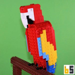 Bundle Birds-Buch + Hellroter Ara aus LEGO®-Steinen