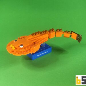 Kleiner Scheibenbauch – Bausatz aus LEGO®-Steinen